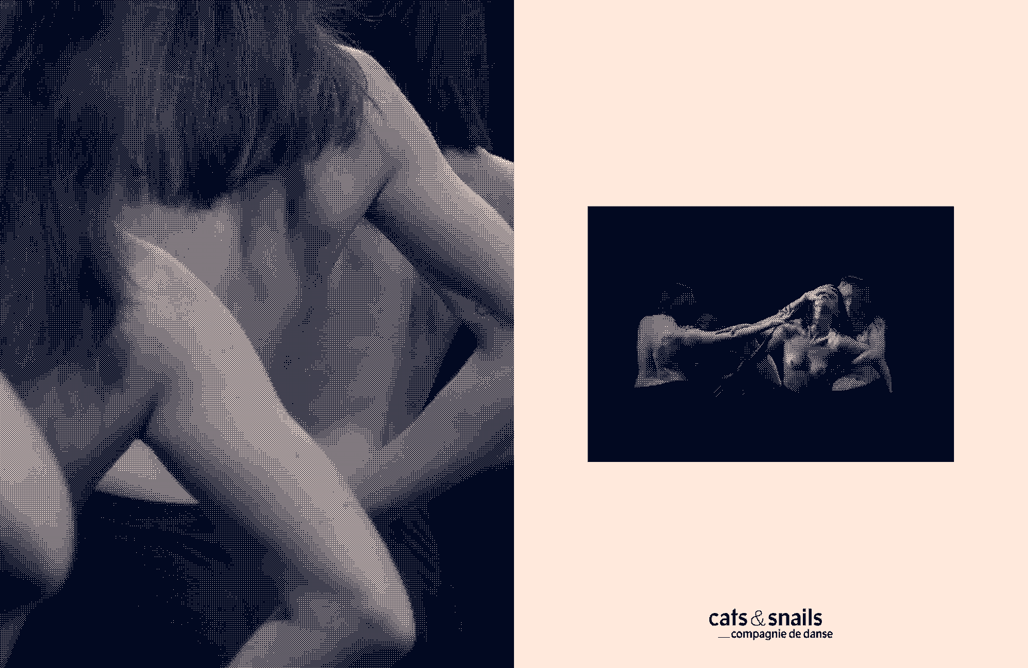 image 2 du projet cats&snails