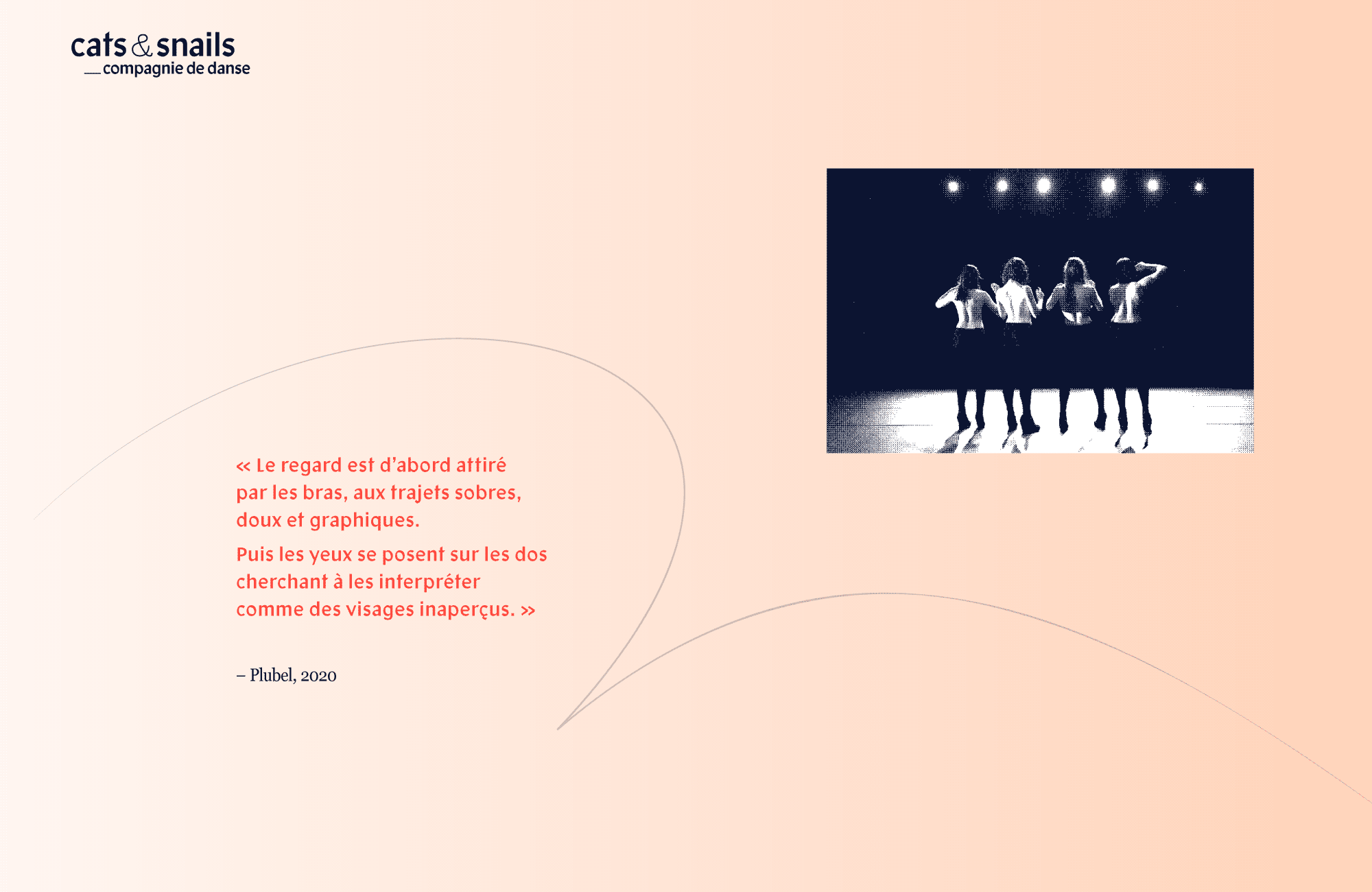 image 3 du projet cats&snails